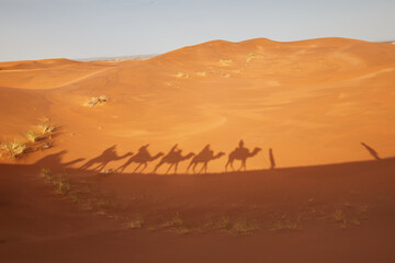 Shadows of camel caravan in Sahara desert, visible in the sand, Morocco