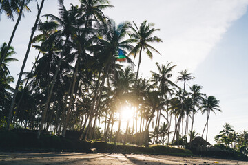 Exotic resort on sunny day