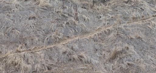 autumn Winding path up to a hill,dry grass