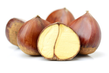 chestnut on a white background