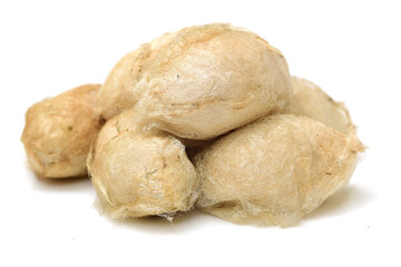 chrysalis silkworm ,silk worm cocoon on white background 