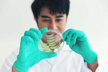 Naklejka premium Asian male scientists holding a pane with tests of plants in the laboratory. Scientific experiment. Medical, Lab, Scientific experiment, Researcher, Research