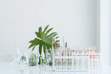 Tests of plants in laboratory. Glasswares in classroom or laboratory. Science and education. Scientific experiment, Researcher, Research concept