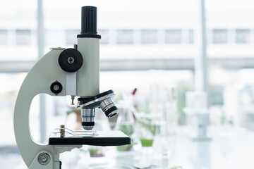 Tests of plants in laboratory. Glasswares and microscope in classroom or laboratory. Science and education. Scientific experiment, Researcher, Research concept