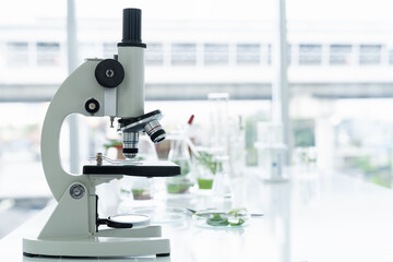Tests of plants in laboratory. Glasswares and microscope in classroom or laboratory. Science and education. Scientific experiment, Researcher, Research concept
