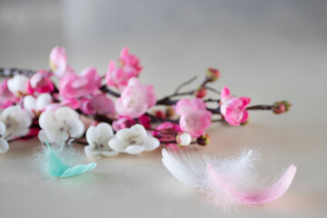Fototapeta na wymiar Easter concept. Branches of blossoming sakura on a light background.