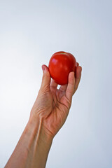 Tomato on hand in a bright background 