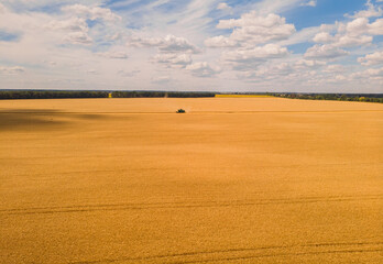Obraz premium Aerial view of summer harvest. Combine harvester harvesting large field.