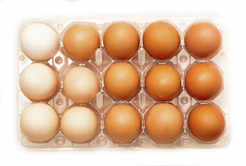 Top view of plastic tray container with eggs with shell color arranged in a gradient order on white bacground,