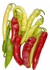 multicolored chilli pepper on white background