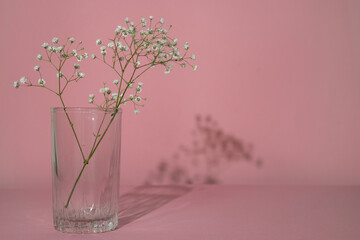 White dried flowers on white background. Simple, minimalism style with dark shadows.