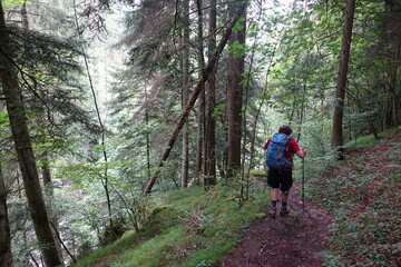 Obraz premium Wanderer an der Ueblen Schlucht im Laternser Tal