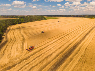 Harvesting machine working in the field. Top view from the drone Combine harvester agricultural machine ride in the field