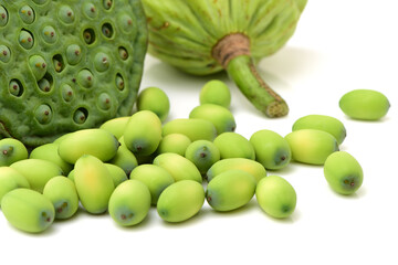  Lotus seed pot (lian zi) - The lotus seeds are used extensively in traditional Chinese medicine and desserts.