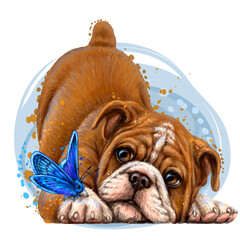 Bulldog. Wall sticker. Color,  drawing portrait of a bulldog puppy with a butterfly in watercolor style on a white background. Separate layer. Digital vector drawing