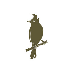 Himalayan Bulbul bird design vector illustration, Creative Himalayan Bulbul bird logo design concepts template, icon symbol