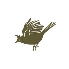 Himalayan Bulbul bird design vector illustration, Creative Himalayan Bulbul bird logo design concepts template, icon symbol