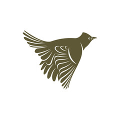 Himalayan Bulbul bird design vector illustration, Creative Himalayan Bulbul bird logo design concepts template, icon symbol