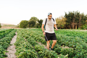 Man spraying vegetables in the crop