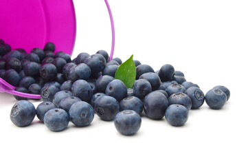 Blueberries in basket on white background