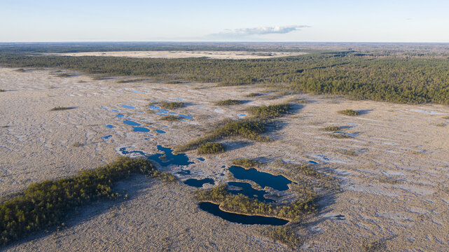 Aerial shot of beautiful Karula National Park full of lakes in Eston