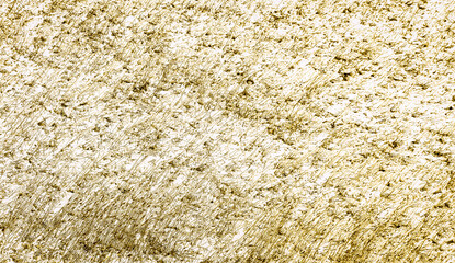 snowy dry reeds, close up