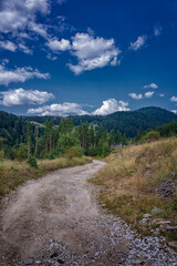 Fototapeta na wymiar Beautiful path into the mountains