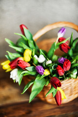 Floral background, greeting card, harvesting, mocap for greetings for mother's day, international women's day: bouquet of colorful tulips on natural wooden background, copyspace