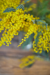 Floral background: a branch of Mimosa on the natural wooden background, copyspace for your text: mockup, background for greetings on mother's day, international women's day, soft focus