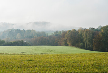 Fototapeta premium Green meadow and fields with thick fog against the background of the deciduous forest horizon. Rural moody misty landscape. Autumn morning