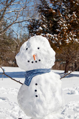 snowman up close  