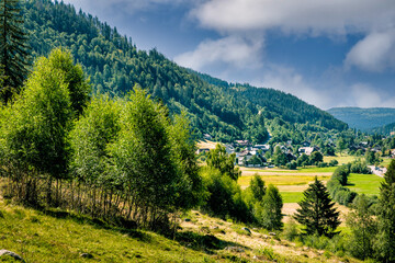 Fototapeta na wymiar View on picturesque village Menzenschwand (St. Blasien) in the high Black Forest near Feldberg on a sunny summer day. Baden-Württemberg, Germany