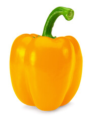 one orange sweet bell pepper isolated on white background. clipping path