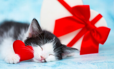 Naklejka premium Love day. The kitten lies on gifts in the form of hearts on a blue background. Valentine's Day. The concept of romance and love. March 8 is women's day. Mothers Day. Surprise for women. Copy space.