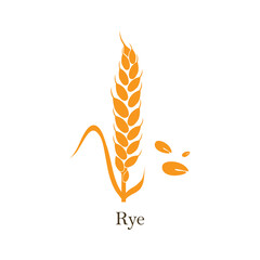 Wheat ear on a white background. Vector clip art on a white background
