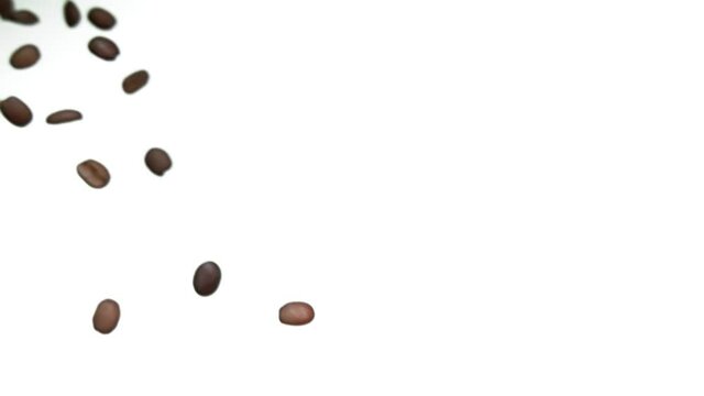 Roasted coffee beans are falling down on a white background in super slow motion