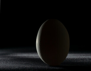 white egg on a black background in backlight