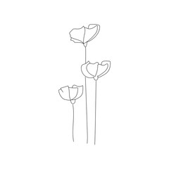 Vector doodle branch. Silhouette of flowers