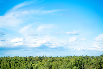 Obraz premium Treetops and beautiful cloudy blue sky. Wood landscape vie from above to sky panorama. 