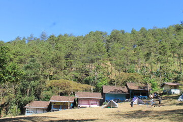 view of several houses in the wild