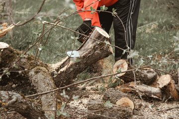  A man cuts a tree with a chainsaw. Pruning trees.