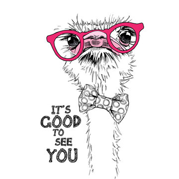Portrait of a Funny Ostrich in a pink glasses and in a bow tie. It's good to see you - lettering quote. Humor card, t-shirt composition, hand drawn style print. Vector illustration.