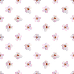 Fototapeta na wymiar Seamless floral pattern with blossom tree flowers on white background. Botanical illustration for textile and decor