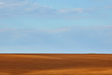 Fototapeta premium Texture of cultivated field