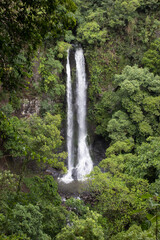 waterfall in the forest