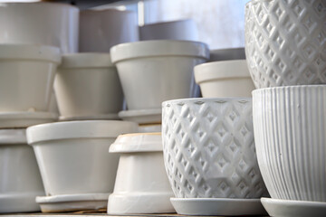 White ceramic pots in a greenhouse