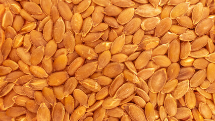 Pumpkin yellowed seeds close up