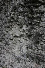 Mur de César