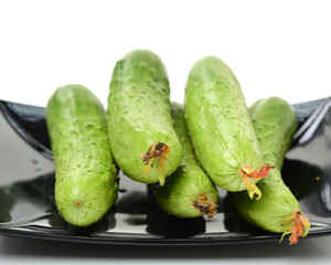 cucumber on a white background