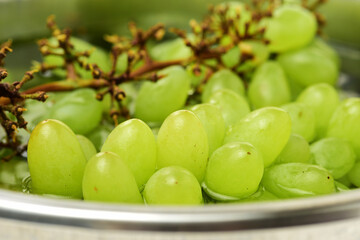 green grapes  background